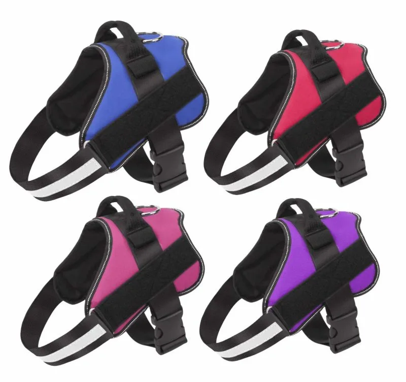 Arnés regulable Therapy XL (Azul)