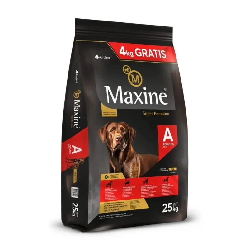 Maxine 21+4kg